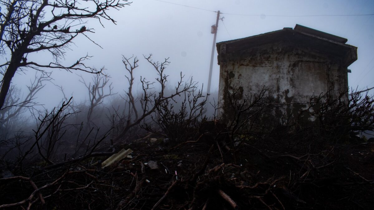 El cementerio verde que revive en las alturas del Mombacho