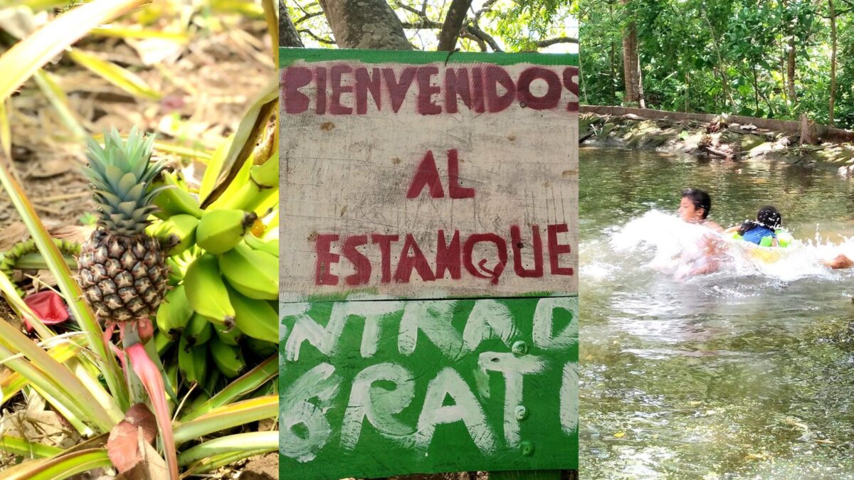 Finca Agroturística “El Estanque”: un nuevo destino para disfrutar del campo en Nandaime
