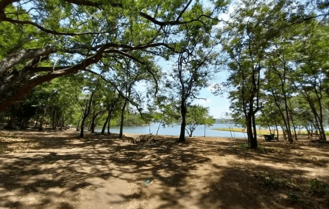 Por qué Playa Venecia será tu próxima escapada favorita
