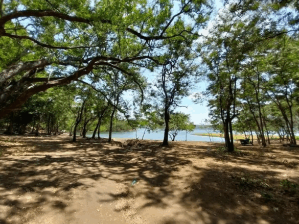 Por qué Playa Venecia será tu próxima escapada favorita