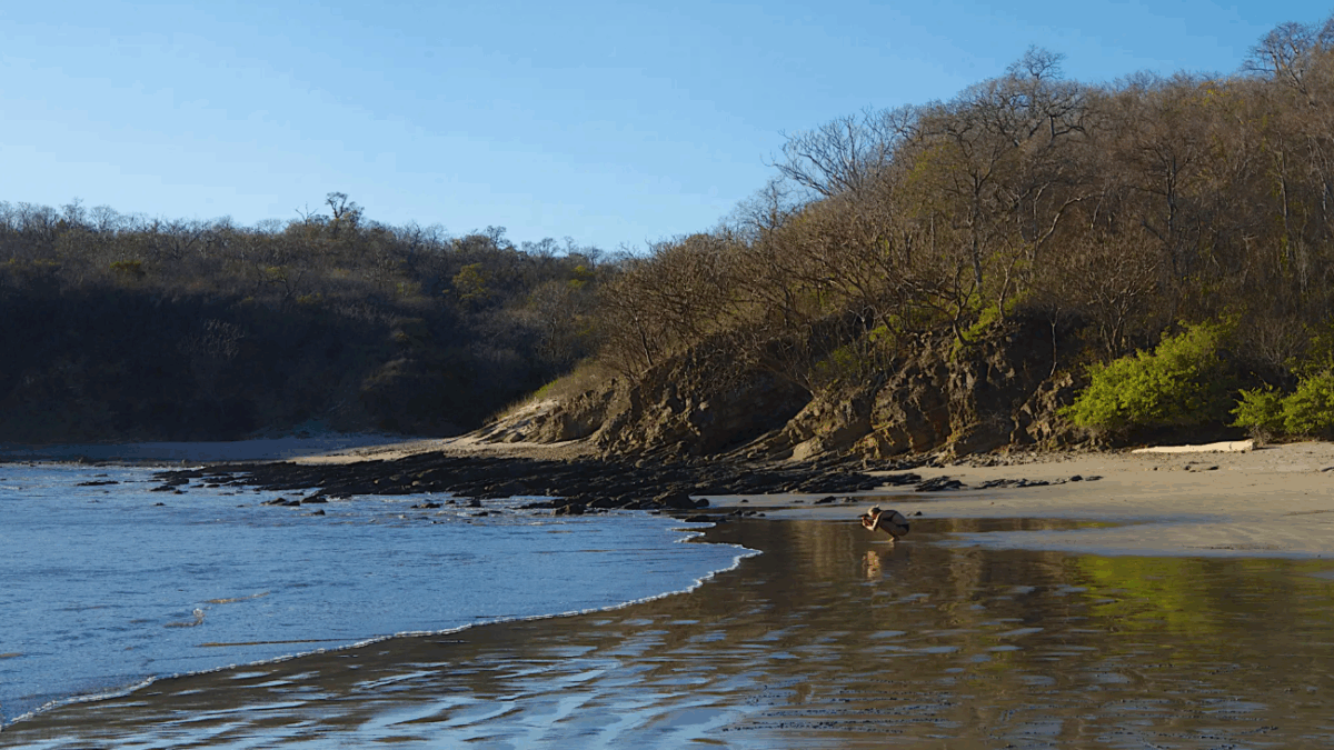 Playa Remanso: el respiro sereno del Pacífico sur